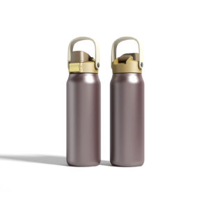 Insulated Sport Water Bottle with Chug Lid